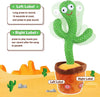 Dancing Cactus Talking Toy
