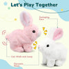 Walking Talking Plush Rabbit Toy