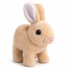Walking Talking Plush Rabbit Toy