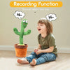Dancing Cactus Talking Toy