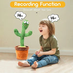 Dancing Cactus Talking Toy